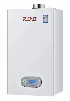 China 20KW Natural Gas Or PLG Combi Boilers For Central Heating And Bathing for sale