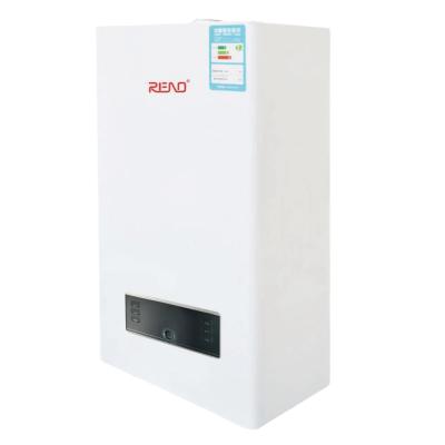 China Energy Saving and Environmental Friendly Gas Wall Mount Boiler for Heating and Bathing for sale