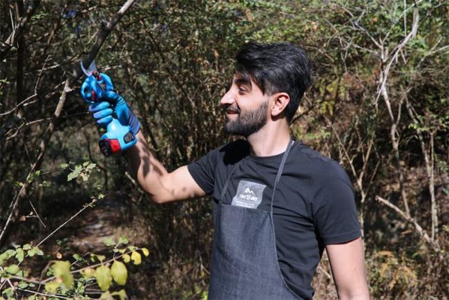 battery pruning shears