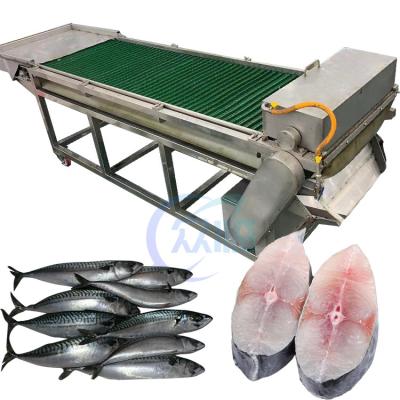 China 1500W SUS304 Fish Cutting Equipment , Anti Corrosion Tuna Cutting Machine for sale