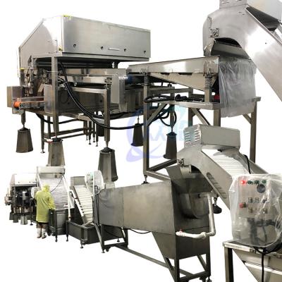 China Durable 800W Shrimp Processing Plant , Automatic Shrimp Head Removal System for sale