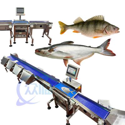 China Especialidad clasificador de peso de pescado máquina de clasificación de peso de pescado vivo tamaño de pescado en venta