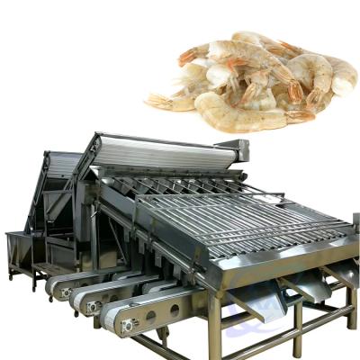 China Stainless steel shrimp processing and sorting machine Seafood sorting machine à venda