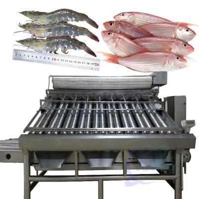 China automatic fish grading machine sorting machine fish size grading machine en venta