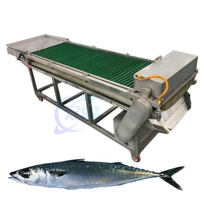 China Máquina profissional de corte e remoção de cabeças de peixe Máquina de corte de cabeças de peixe Máquina de remoção de cabeças de peixe à venda