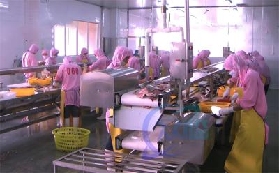 China Plataforma da linha de montagem da linha de produção de processamento de peixe Tabela da linha de produção de descabeçamento de peixe à venda