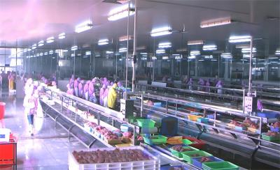 China Plataforma de la línea de montaje de la línea de producción de procesamiento de pescado Tabla de la línea de producción de descabezado de pescado en venta