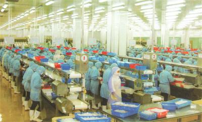 China Customização Estrutura de aço inoxidável Processamento de alimentos Linha de montagem Cinturão transportador transportador de processamento de peixe à venda