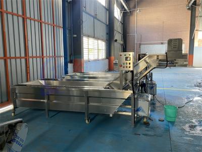 Chine Machine à laver à bulles à haute pression de poisson de fruits de mer automatique Machine de nettoyage de crevettes dégeler la bande transporteuse à vendre