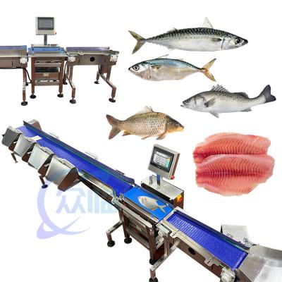 China Máquina de clasificación de pescado de alta calidad Máquina de tamaño de pescado Potencia de 1.3KW en venta