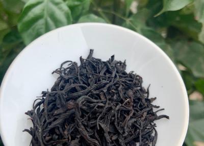China 18 Month Warranty Lapsang Souchong Black Tea for sale