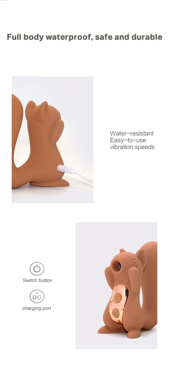 Factory Custom 5 Speed Absorption And 10 Frequency Vibration Function Squirrel Vibrator Sex Toys for Woman Silicone Customized