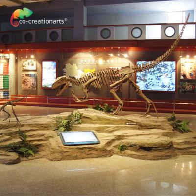China Sunproof Resin Dinosaur Skeleton Gasosaurus Skull for sale