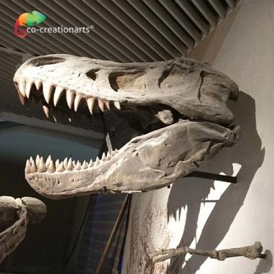 China CE Realistic Artistic Dinosaur Skeleton Replica T Rex Skeleton Head High simulation for sale