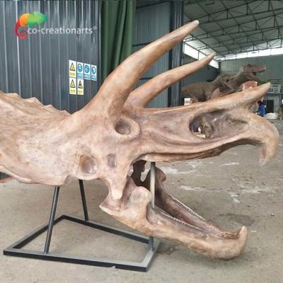 China ISO water repellent Dinosaur Skeleton Replica Fossil Life Size Triceratops Skull for sale