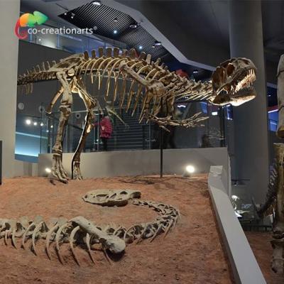 China landscape decoration Outdoor Yangchuanosaurus Skeleton Dinosaur Replica Fossil for sale