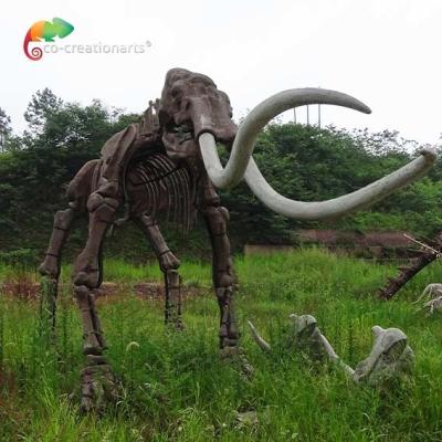 China weather reistance Real Size Replica Animal Skeletons Mammuthus Model for sale