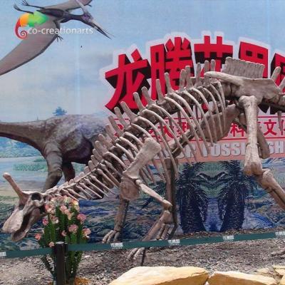 China Park Decoration Dinosaur Fossil Replicas Life Size Tsintaosaurus Skeleton Sunproof for sale