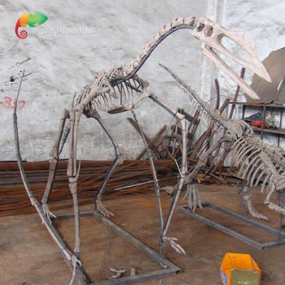 China Museum Exhibition Resin Dinosaur Skeleton Quetzalcoatlus Skeleton Customizable for sale