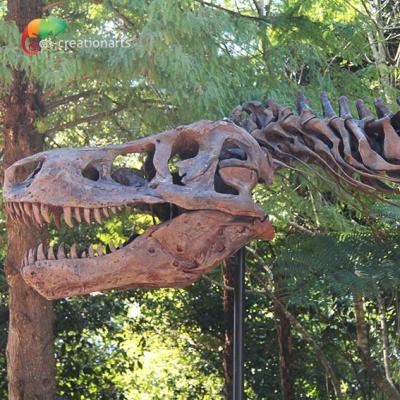 China Weather Resistance T Rex Skeleton Replica for sale