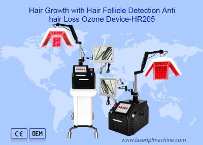 China Crecimiento del pelo con la máquina vertical de la belleza del laser del diodo de FolliclePDT LED del pelo en venta