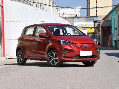 China 55KW Small Hatchback Electric Cars Electric Sedan 5 Seater for sale