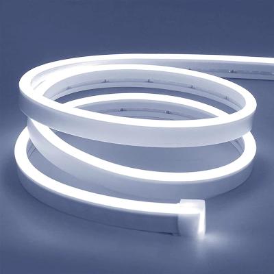China 2835 SMD 12V 6 X 12mm 8 X 16mm PVC Silicone Neon Light E Single All Color LED Neon Flex Rope for sale