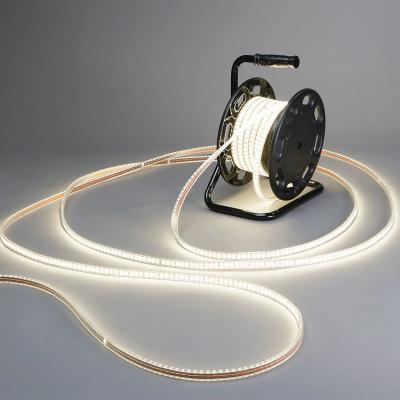 China Warm White Cold White 230V LED Strip Light IP65 5m Flexible With Plug for sale