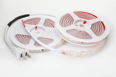 China Driver Free SMD2835 120D 110V LED Strip IP65 PVC LED Rope Light CE RoHS High Voltage White for sale
