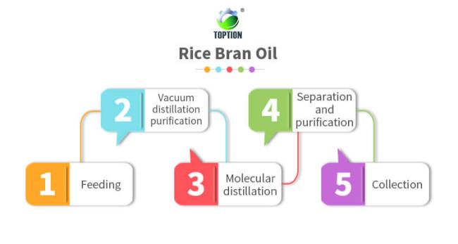 molecular distillation of rice bran oil