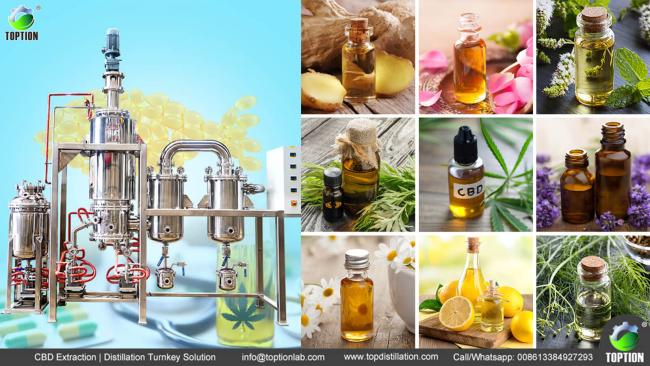 molecular distillation of rice bran oil