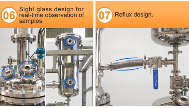sight glass reactor