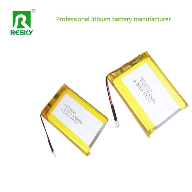 Prismatic pouch lithium polymer battery cell package