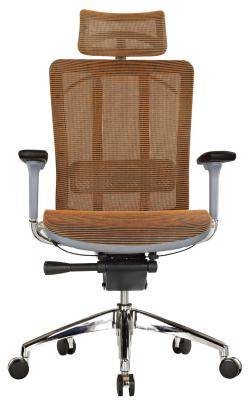 China Ergonomic Swivel Tilt Mesh Swivel Chairs Lumbar Support For Office And Home for sale