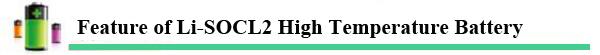 high temperature lithium battery er battery
