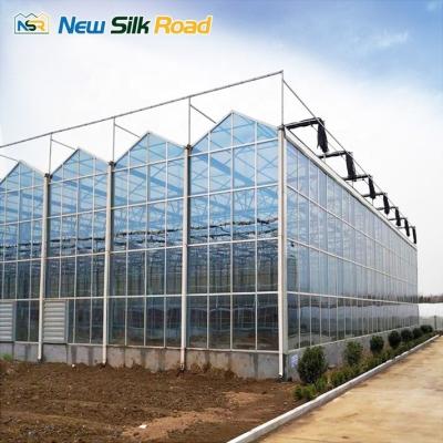 Hot Galvanized Steel Structure Venlo Type Glass Greenhouse for Commercial Agriculture