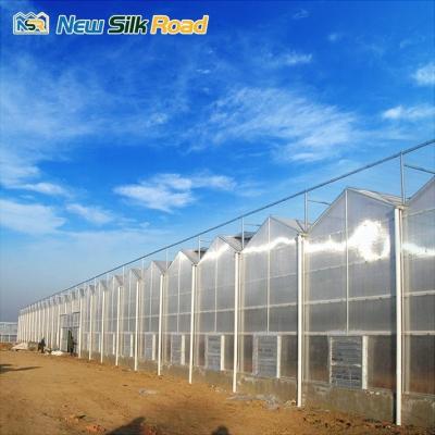 Agro greenhouses mini greenhouse for mushrooms multi-span venlo glass polycarbonate greenhouse for agro