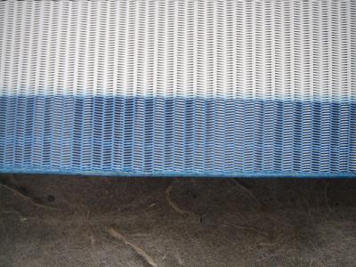 China large loop Spiral mesh for sale