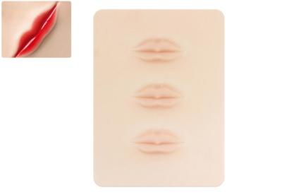 China Piel en blanco de Prastic del labio del tatuaje de los accesorios permanentes del maquillaje de la piel de la práctica de Microblading del silicón del precio de fábrica de China 3D en venta