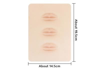 China Wholesale 3D Silicone Permanent Makeup Tattoo Training Practice Fake Skin Blank Lips For Microblading Tattoo Machine Beg for sale