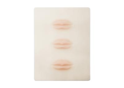 China piel permanente elástico de la práctica del maquillaje de la suavidad de la piel de la práctica del labio 3D para el tatuaje del labio en venta