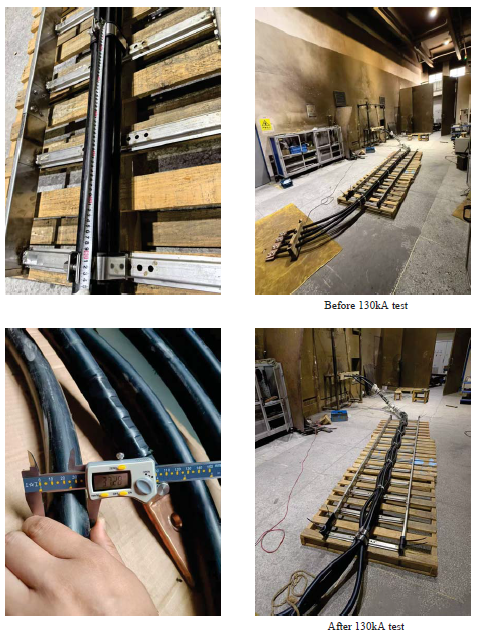 IEC61914 QUAD CABLE CLEATS TESTING IEC61914 QUAD CABLE CLEATS TESTING