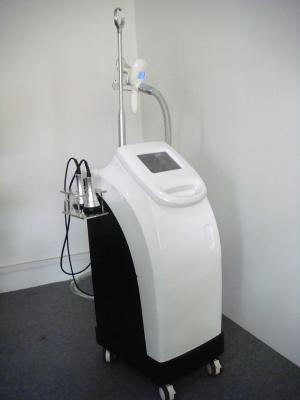 China Vertical Cryolipolysis Machine Frozen Fat Dissolving Instrument for sale