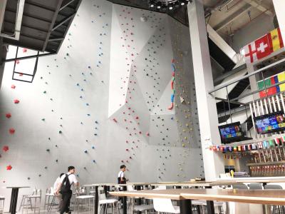 China Shopping Mall Recreation Sport Climbing Walls Climbing Holds ISO14001 for sale