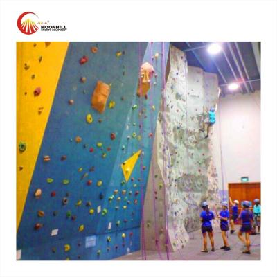 China Auto Belay Rope Climbing Wall Artificial Kids Mobile Rock Climbing Wall for sale