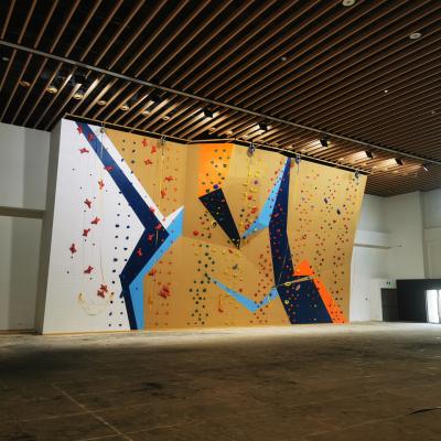 China Customizable Indoor Climbing Wall Automatic Protector With Regular Maintenance for sale