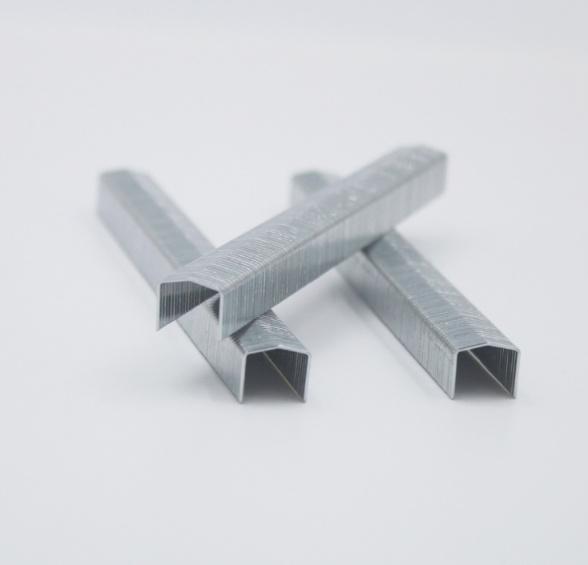 Stcr5019 Series 20 Gauge 11.50mm Crown 6mm Furniture Staple