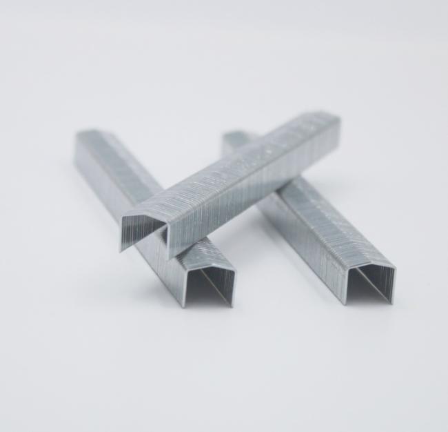 Stcr5019 Series 20 Gauge 11.50mm Crown 10mm Furniture Staple