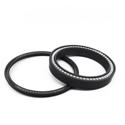 China PTFE/PEEK Spring energized  Oil Seal Ring/gate valve seal for sale