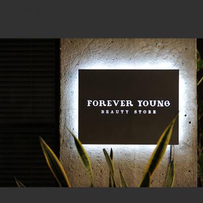 China Hollow Out Light Box Signboard Custom Luminous Letters Logo Storefront Outdoor LED Signs and Signage for sale